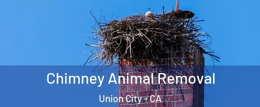 Chimney Animal Removal Union City - CA