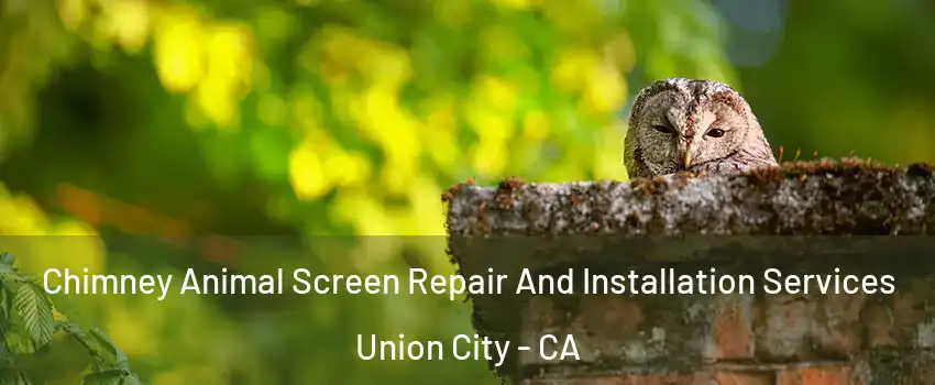  Chimney Animal Screen Repair And Installation Services Union City - CA