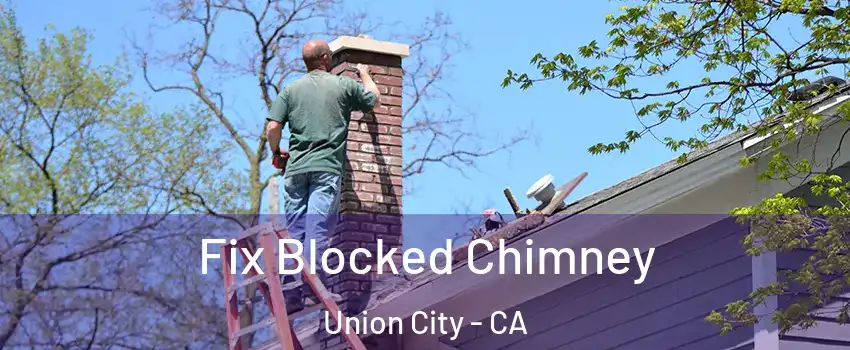  Fix Blocked Chimney Union City - CA