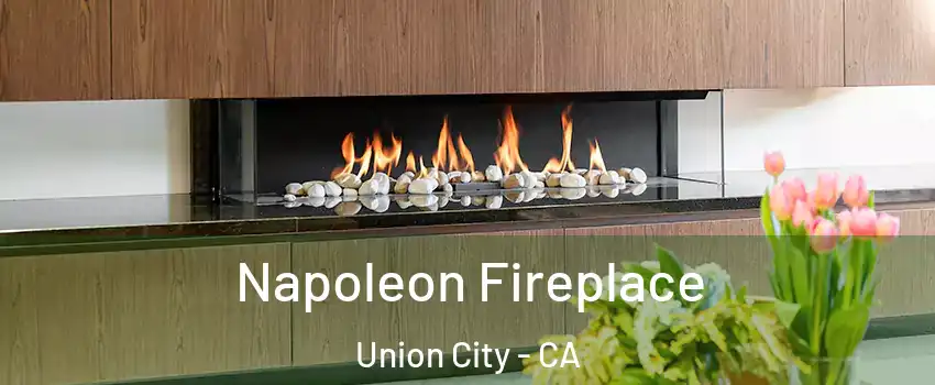  Napoleon Fireplace Union City - CA