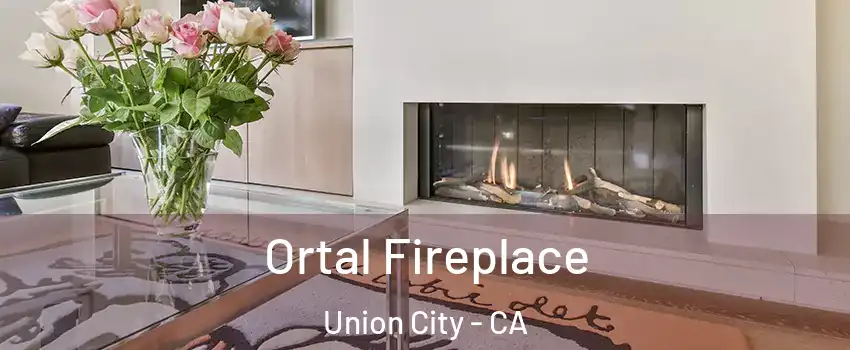 Ortal Fireplace Union City - CA